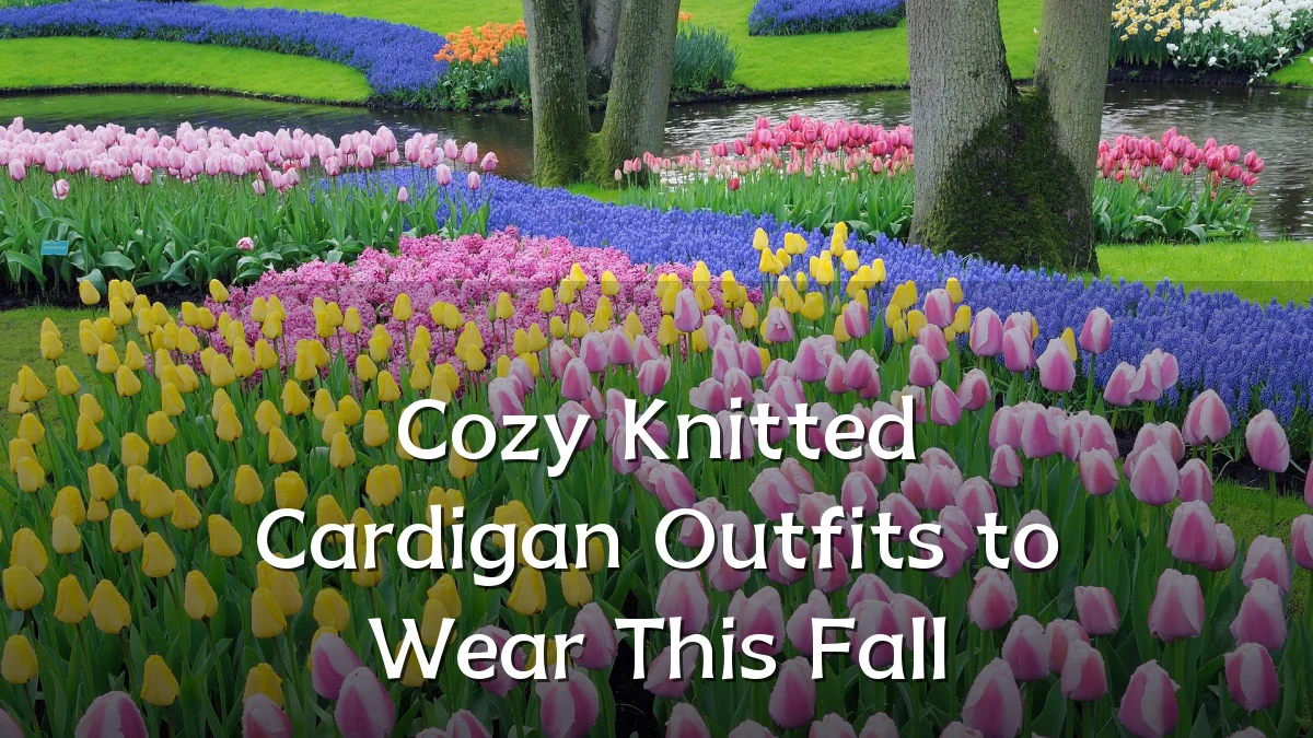 Cozy Knitted Cardigan Outfits to Wear This Fall