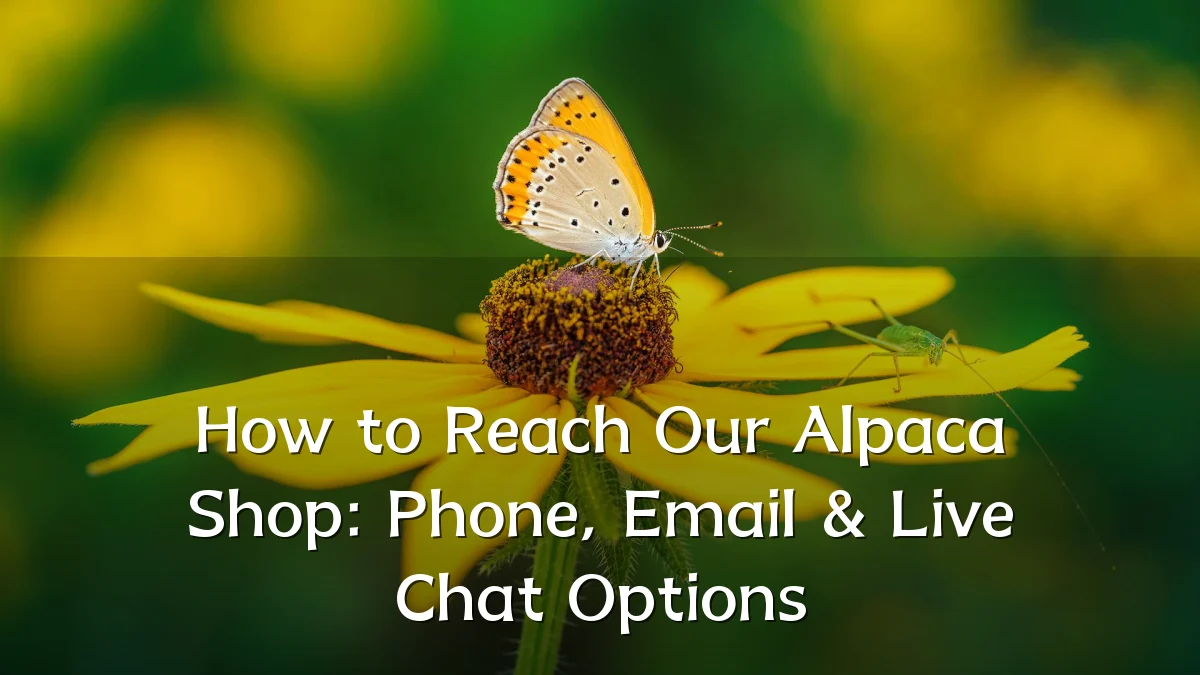 How to Reach Our Alpaca Shop: Phone, Email & Live Chat Options