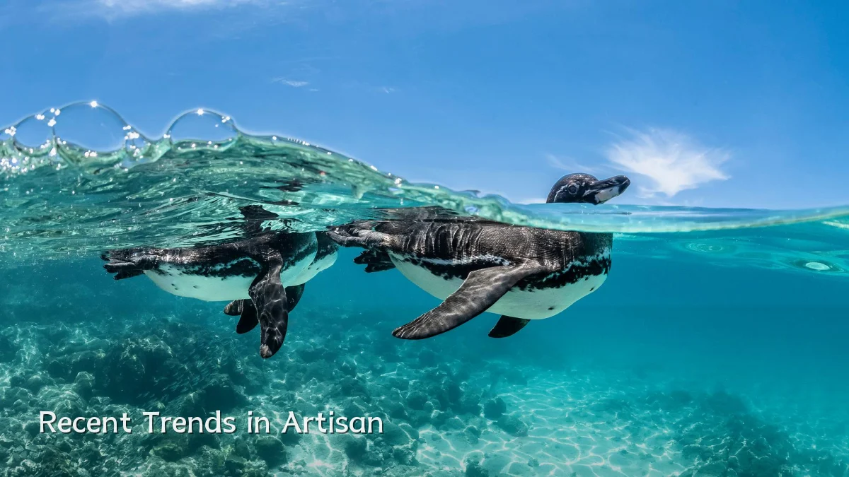 Recent Trends in Artisan