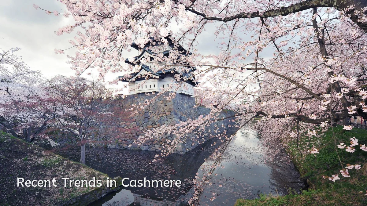 Recent Trends in Cashmere