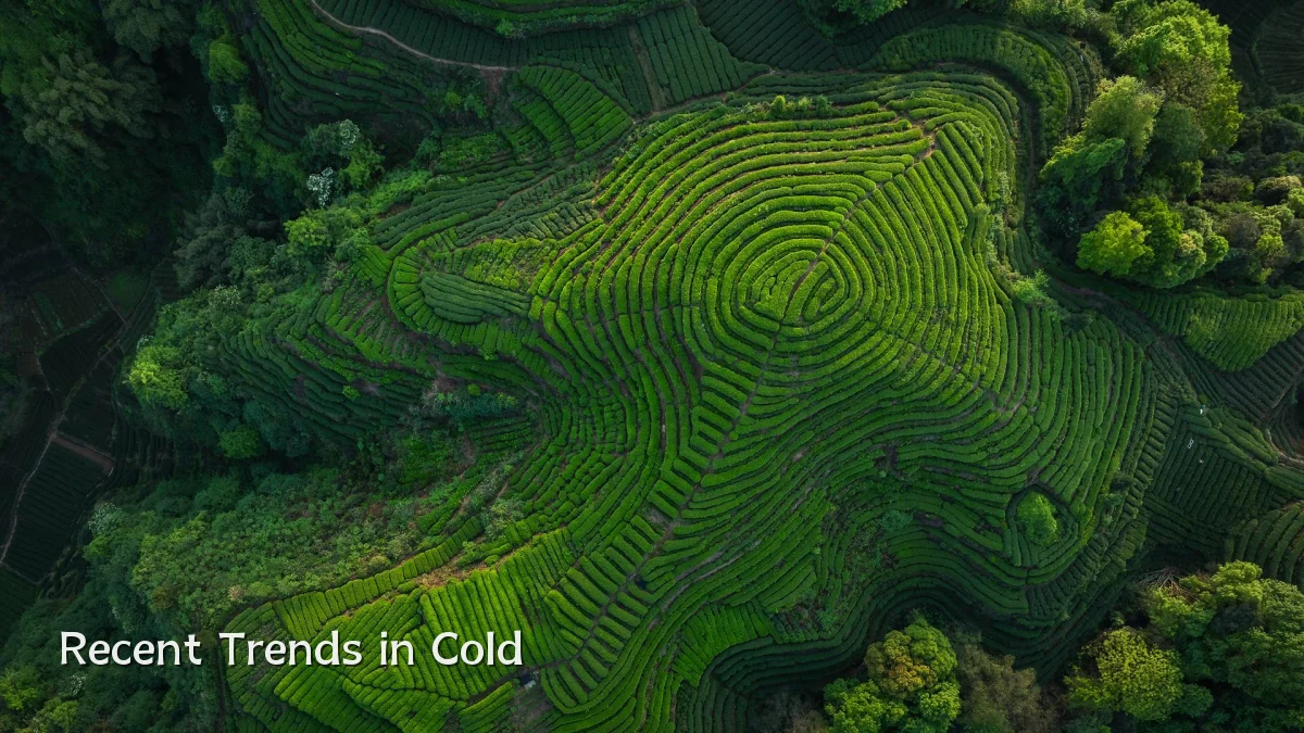 Recent Trends in Cold