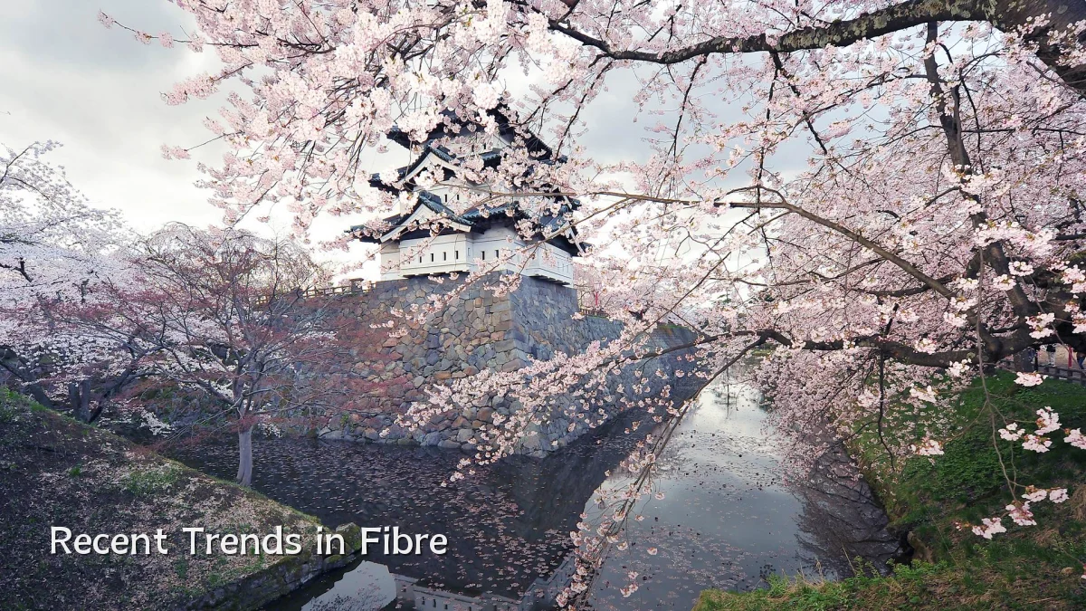 Recent Trends in Fibre