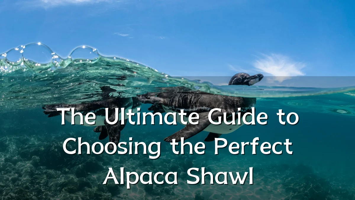 The Ultimate Guide to Choosing the Perfect Alpaca Shawl