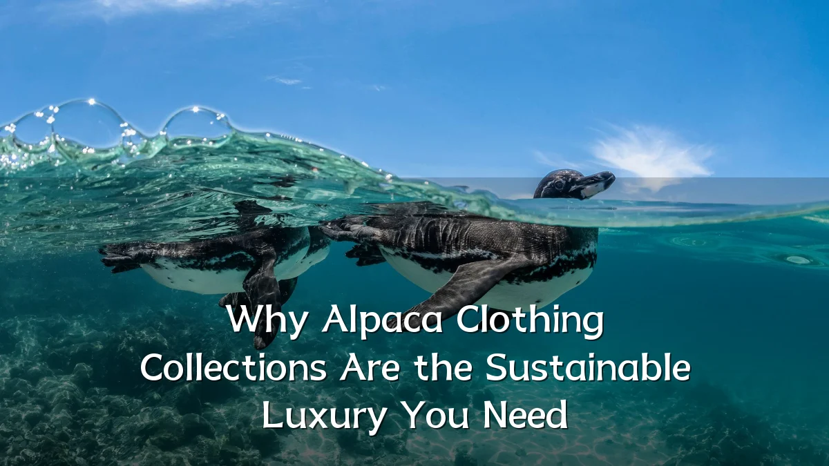 Why Alpaca Clothing Collections Are the Sustainable Luxury You Need