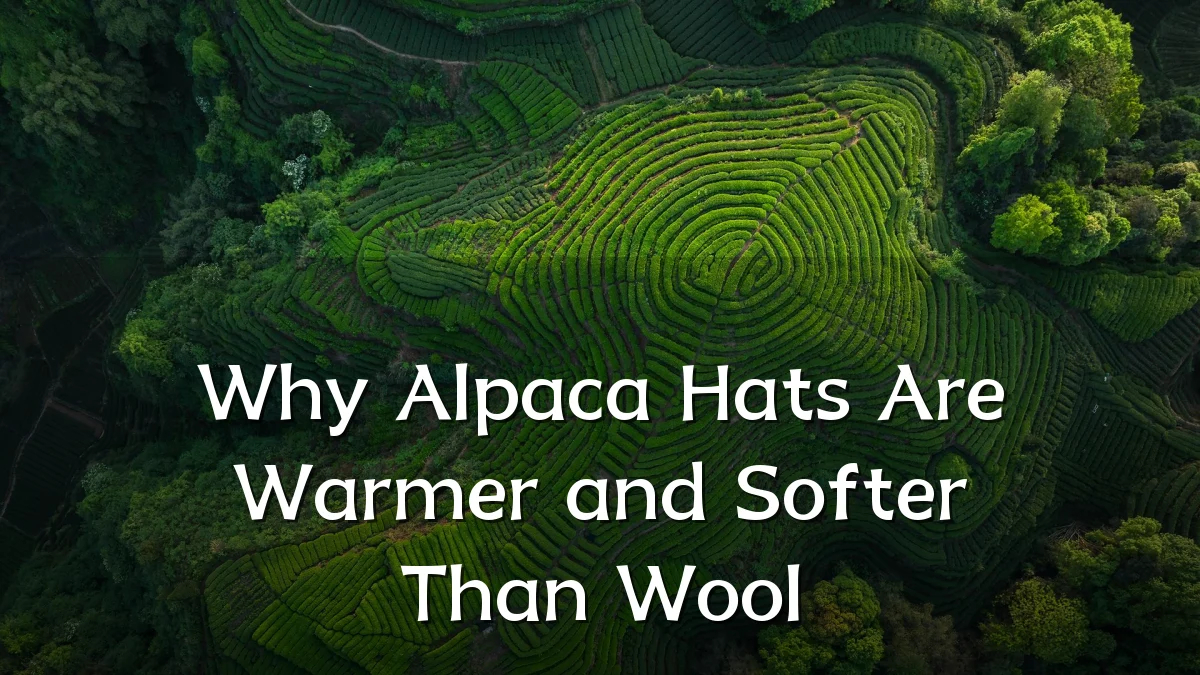 Why Alpaca Hats Are Warmer and Softer Than Wool