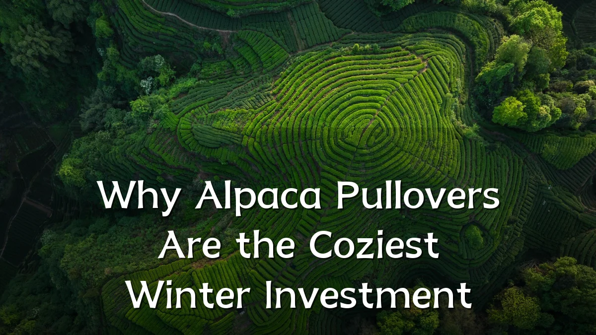 Why Alpaca Pullovers Are the Coziest Winter Investment