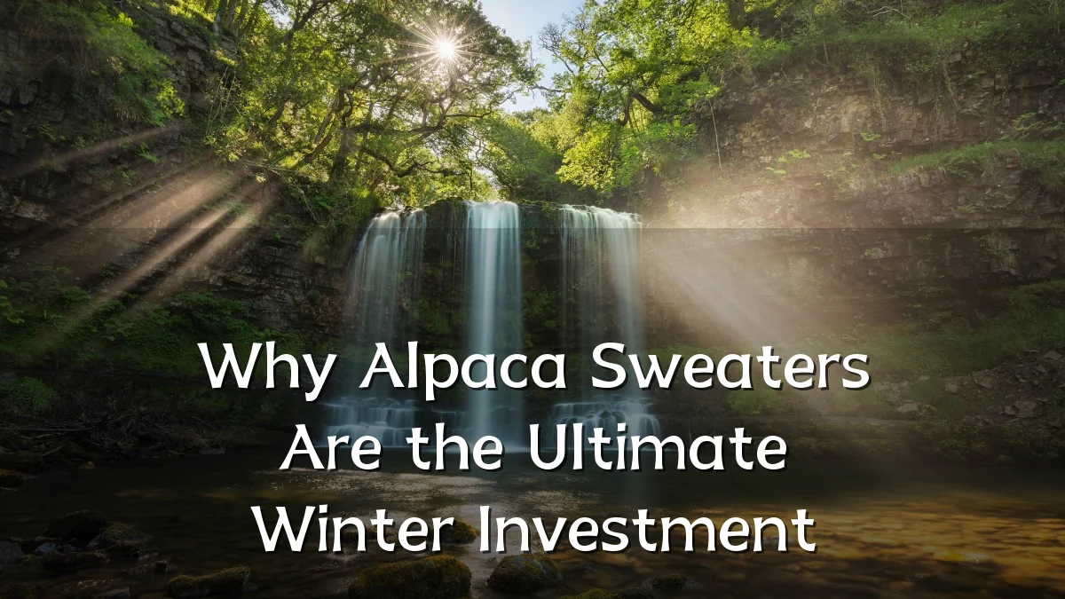 Why Alpaca Sweaters Are the Ultimate Winter Investment