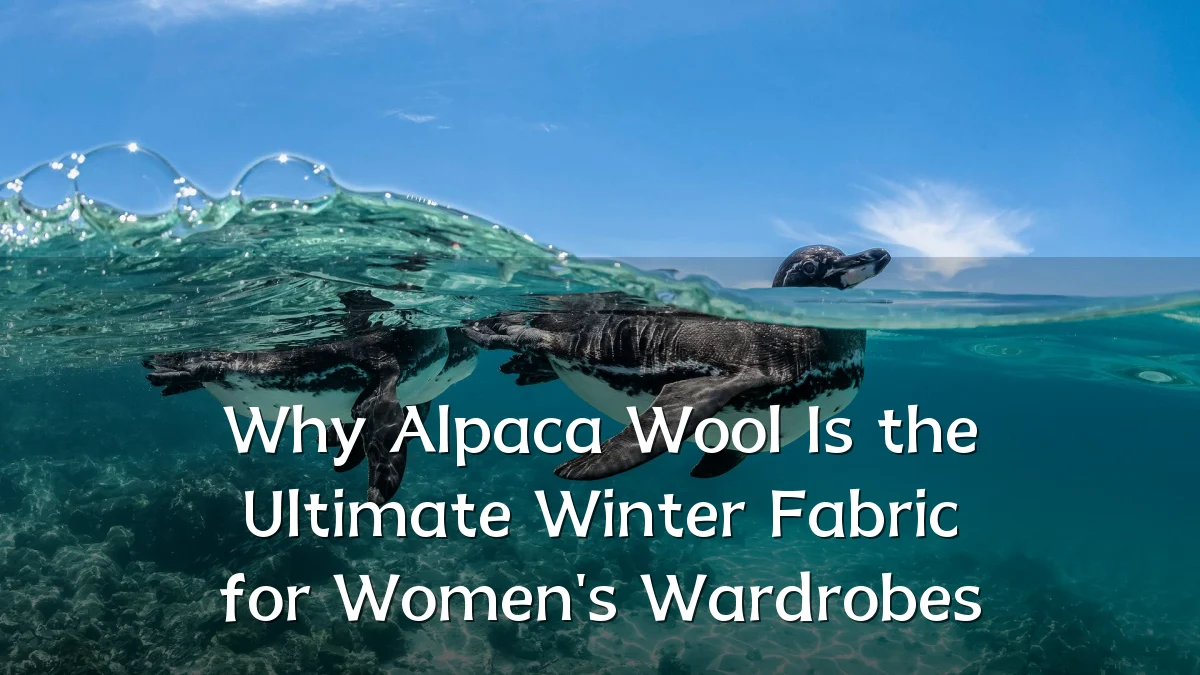 Why Alpaca Wool Is the Ultimate Winter Fabric for Women's Wardrobes