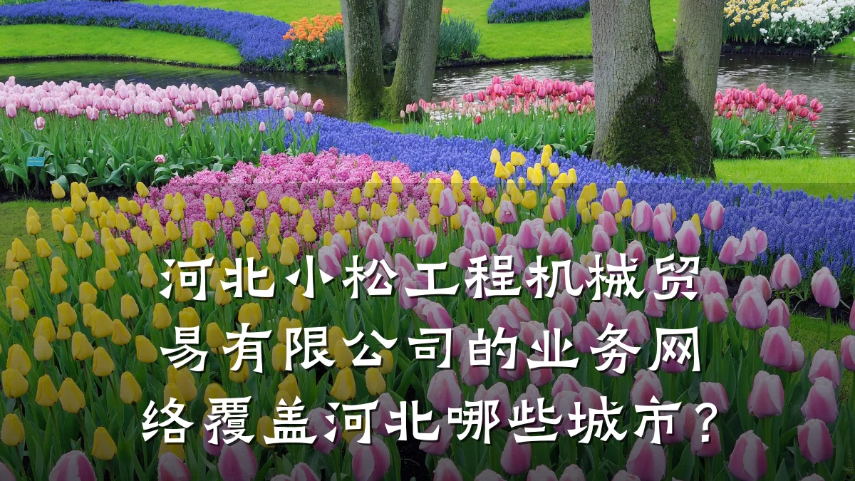 河北小松工程机械贸易有限公司的业务网络覆盖河北哪些城市?