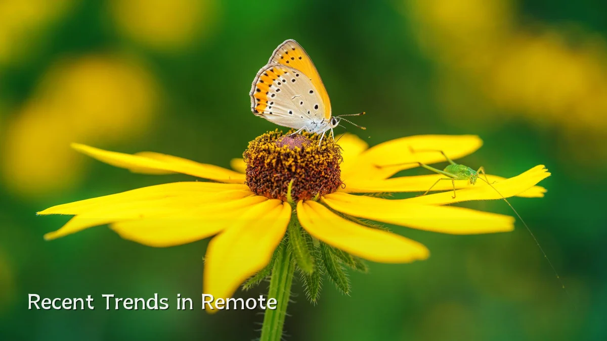 Recent Trends in Remote