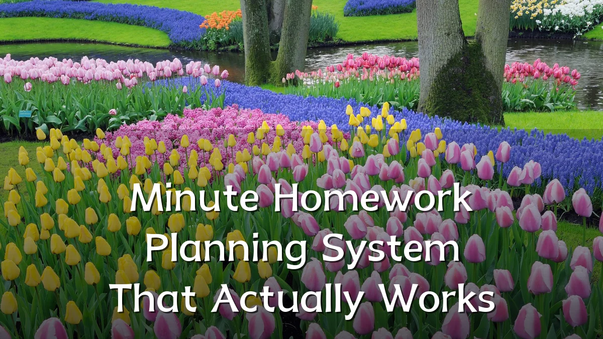 Minute Homework Planning System That Actually Works
