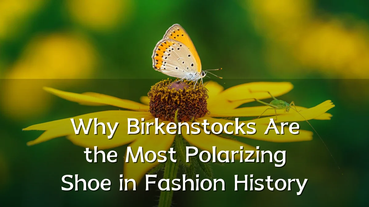Why Birkenstocks Are the Most Polarizing Shoe in Fashion History
